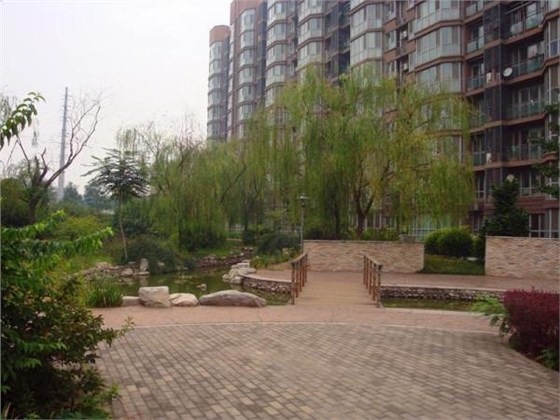 捕鼠器批發(fā)廠家分享應(yīng)對(duì)小區(qū)鼠害的方法