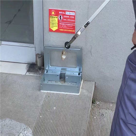 景隆視窗捕鼠器廠家