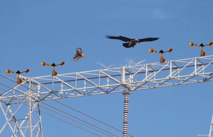 輸電線路防鳥