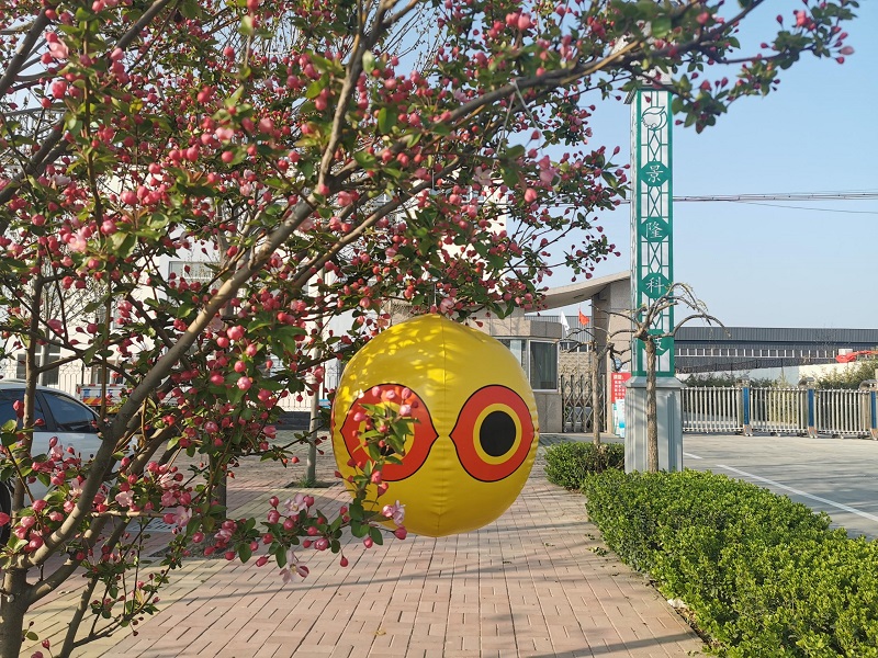 河北驅(qū)鳥(niǎo)氣球