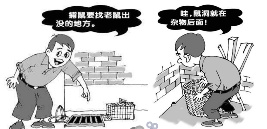 老鼠夾撲鼠器這樣放，老鼠更容易上當(dāng)