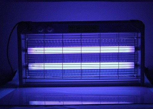 電擊式滅蠅燈價(jià)格怎么樣