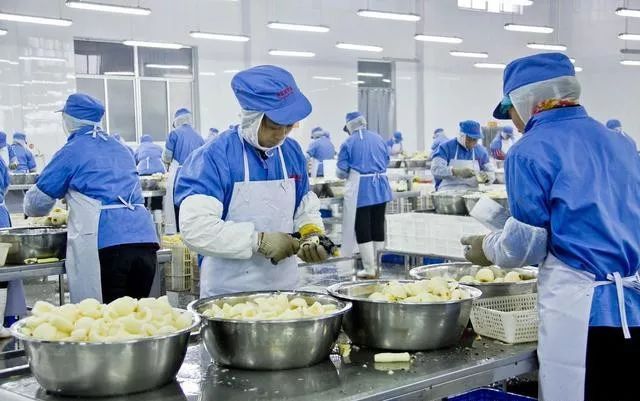 為什么食品車間和儲物區(qū)要用金屬滅蠅燈