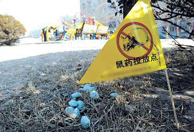鼠餌盒廠家介紹慢性滅鼠藥的優(yōu)點(diǎn)