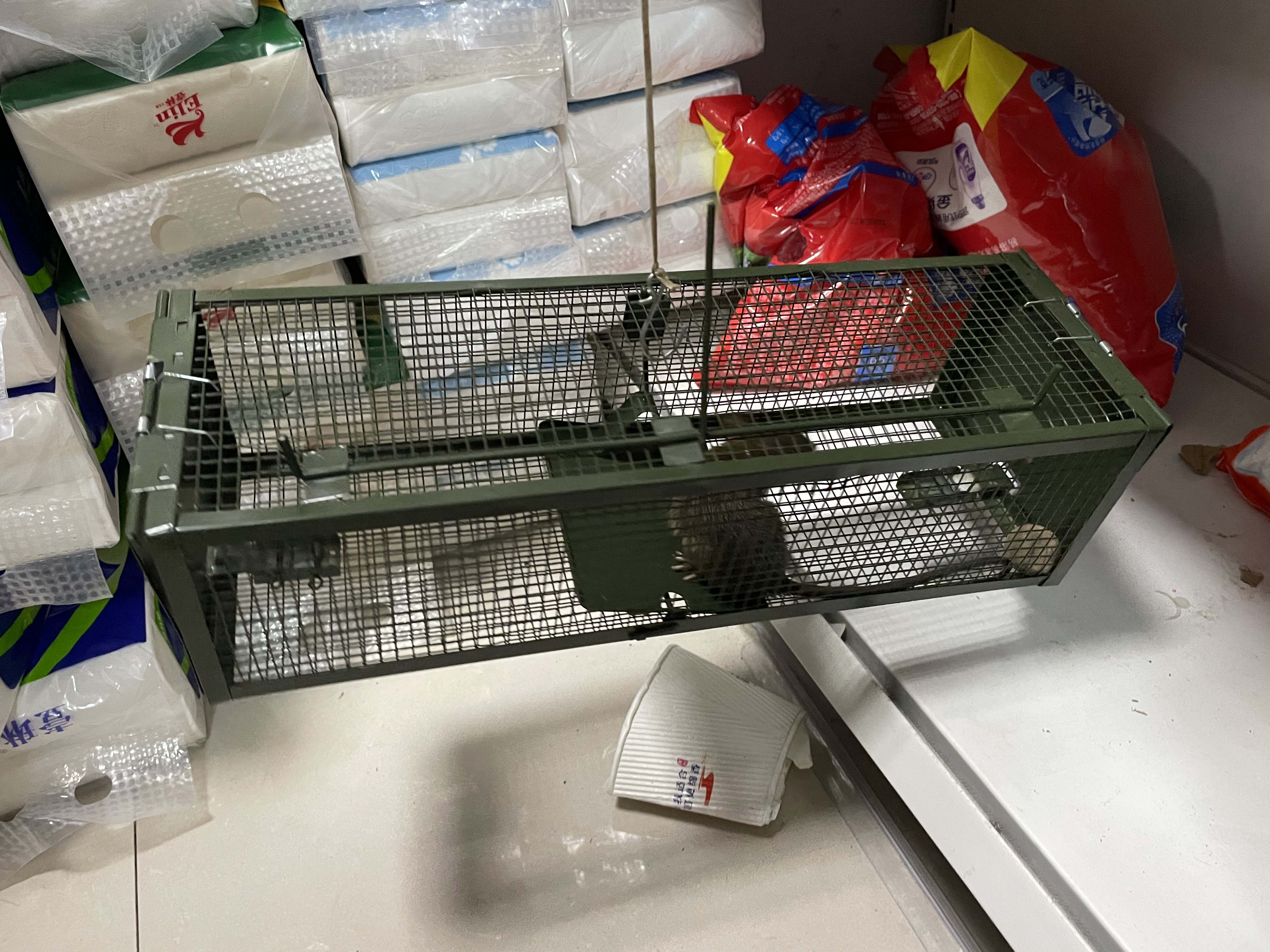 景隆老鼠籠廠家